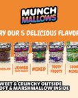 Munch Mallows - Marshmallow Candy - Unique Novelty Candy: Mixed