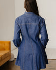 Zoe Flared Mini Dress