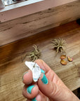 Half Cluster Earrings – Pink Dahlia & Sterling Silver