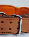 Hilason Western Style Heavy Duty Spiked Leather Pet Dog Collar