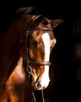 Replacement Crownpiece of ExionPro Padded Hunter Bridle