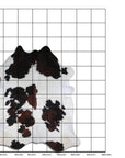 7.5 Ft X 6 Ft Genuine Brazilian Cowhide Skin Rug by Hilason | Hair-On Leather Home Décor Carpet