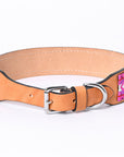 Hilason Western Style Heavy Duty Beaded American Leather Pet Dog Collar