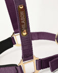 HILASON Western Safety Horse Halter Comfortable and Flexible | Nylon Halters Adjustable Cute