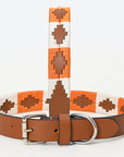 BAR H EQUINE Western Genuine Leather Dog Collar Embroidered Orange & White