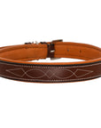 ExionPro Fancy Stitched Padded Leather Dog Collar - Conker Padding