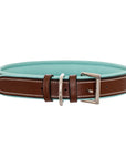 ExionPro Fancy Stitched Padded Leather Dog Collar - Sky Blue Padding