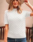 Fish Scale Textured Knit Short Sleeve Sweater
