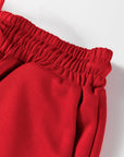Solid V-Neck Pullover and Drawstring Pants Set