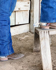 AJ Tack Men's Stainless Steel Stars and Double Shooter Spurs