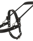 HILASON Guide Dog Harness Brown Padded Genuine Leather with Handle Brown | Dog Harness with Adjustable Straps | Dog Harness with Handle for Training | Breathable Dog Harness | Therapy Dog Harness