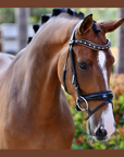 Lyamora Limited Edition Black Patent Snap Browband