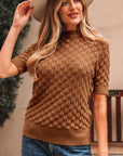 Fish Scale Textured Knit Short Sleeve Sweater
