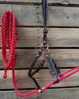 Red Honeycomb Tooled Lariat & Leather Combo Halter
