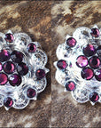 Amethyst Crystal Berry Headstall Saddle Tack Cowgirl Hilason