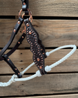 White Honeycomb Tooled Lariat & Leather Combo Halter