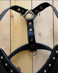 HILASON Genuine Leather Dog Harness Padded Matching Leash Black