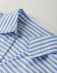 Stripe Shirt Collar V-Neck Ricrac Trim Blouse