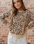 Leopard Contrast Trim Dolman Sleeve Sweater