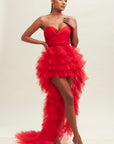 Pretty Little Tulle Dress