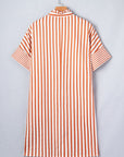 Stripe Pleated Frilled V-Neck Mini Dress