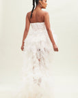 Pretty Little Tulle Dress