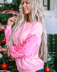 Giselle Sleeve Pullover top Long Sleeve Top