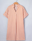 Stripe Pleated Frilled V-Neck Mini Dress