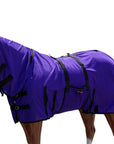 HILASON Horse Fly Sheet UV Protect Breathable Mesh Bug Mosquito Spring | Summer Horse Rug | Fly Rug