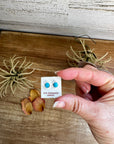 Stud Earrings – Kingman Turquoise – Sterling Silver – Handmade by Mary Ann Neha, Zuni Artist