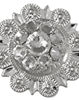 Bright Silver Clear Crystal Conchos - Sizes from 1"- 3" and Buckles