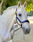 The Revolution Cobalt Blue Leather Halter