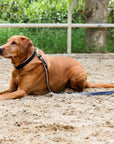 Halter Ego® Black Patent Thea Dog Leash