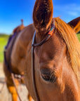Desert Night *Mini* Beaded Headstall
