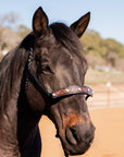 Black Mule Tape Halter -Turquoise Cabochon