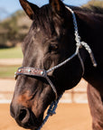 Grey Mule Tape Halter -Turquoise Cabochon