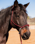 Red and Black Mule Tape Halter with Lariat Noseband