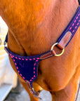 Bar-B Pink on Berry Purple BuckStitch Betty Bikini Breast Collar