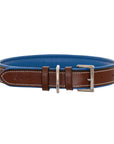 ExionPro Fancy Stitched Padded Leather Dog Collar - Blue Padding