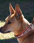 ExionPro Red Bling Padded Dog Collar With Dog Leash