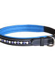 ExionPro White & Blue Bling Dog Collar