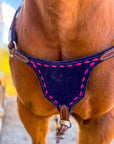 Bar-B Pink on Berry Purple BuckStitch Betty Bikini Breast Collar