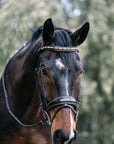 Geneva - Black Patent Snaffle Bridle with Metallic Gold Piping with Removable Flash