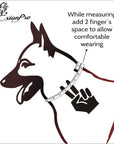 ExionPro Fancy Stitched Padded Leather Dog Collar - Havana Padding