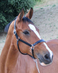 Tuscany Black Leather Halter with Cognac Padding