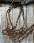 Brown Mule Tape Halter