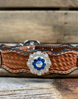 Leather Dog Collar With Bright Silver Capri and AB Conchos 10" to 22" -DC48