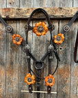 Dark Oil Basketweave Champagne - Topaz Browband/One Ear Tack Set