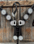 Dark Oil Silver Dot Rhinestone and AB One Ear Tack Set