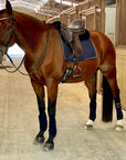 Halter Ego Navy & Gold Fleece Bandages